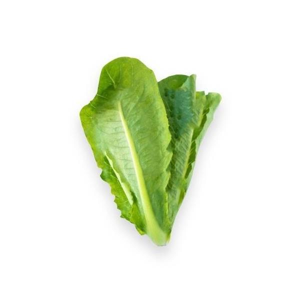 Naturalbig- Selada Romaine / Romaine Lettuce Organik 200Gr