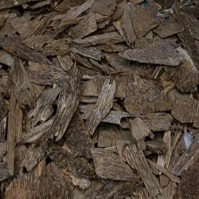Kayu Gaharu Kalimantan GKCBB01 Asli Alami Wangi Khas Natural Grade Kacangan AB