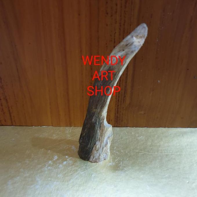 Kayu Gaharu Kalimantan Malinau untuk Bahan Dupa