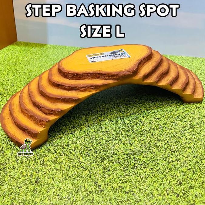 STEP BASKING SIZE L TANGKRINGAN KURA AIR KURA DARAT SULCATA BABY KADAL