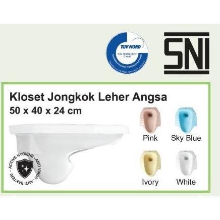 Spesial Closet / Kloset Jongkok Fwc Biru (Gojek)