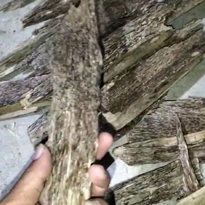 kayu gaharu AB super tipis malacensis