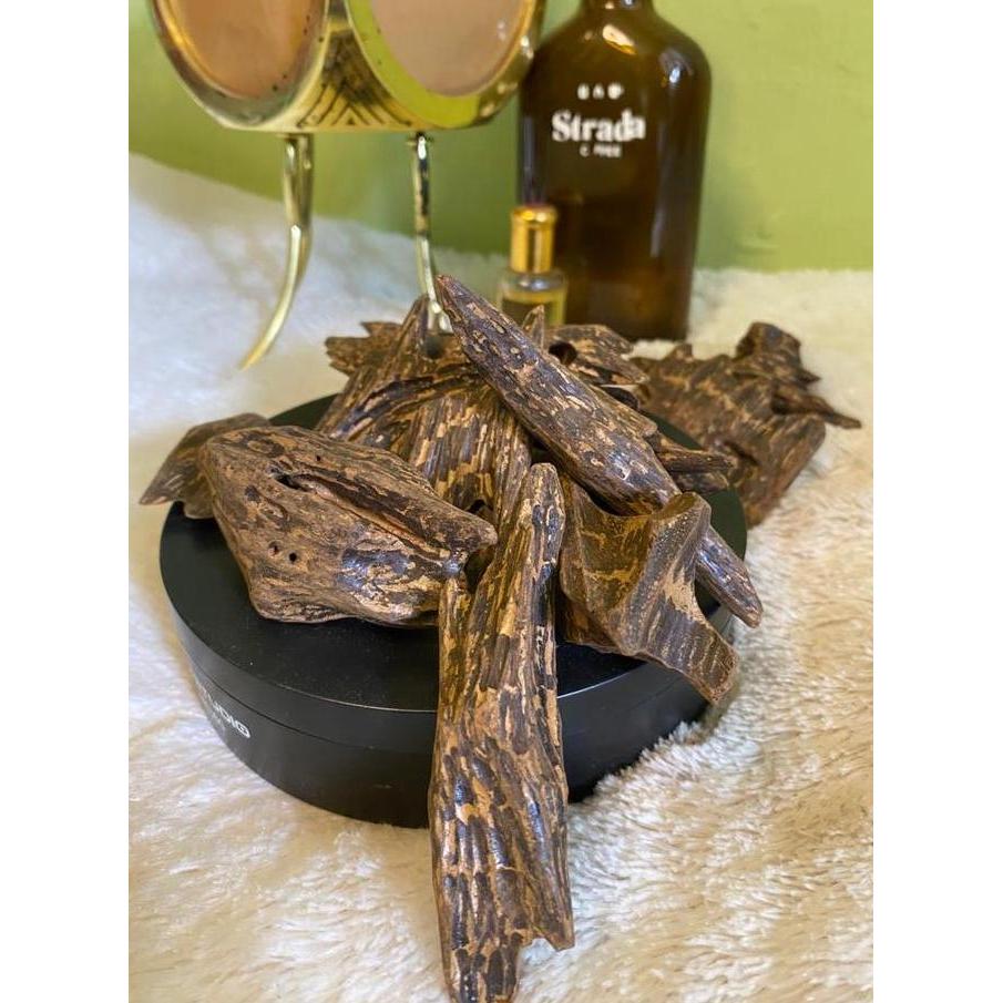 Oudh Haq Mohassan Gaharu Malinau Premium Agarwood Sanai Aquilaria Malaccenesis Kasta Tertinggi Aroma