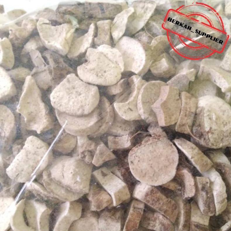 Keladi Tikus Kering Asli