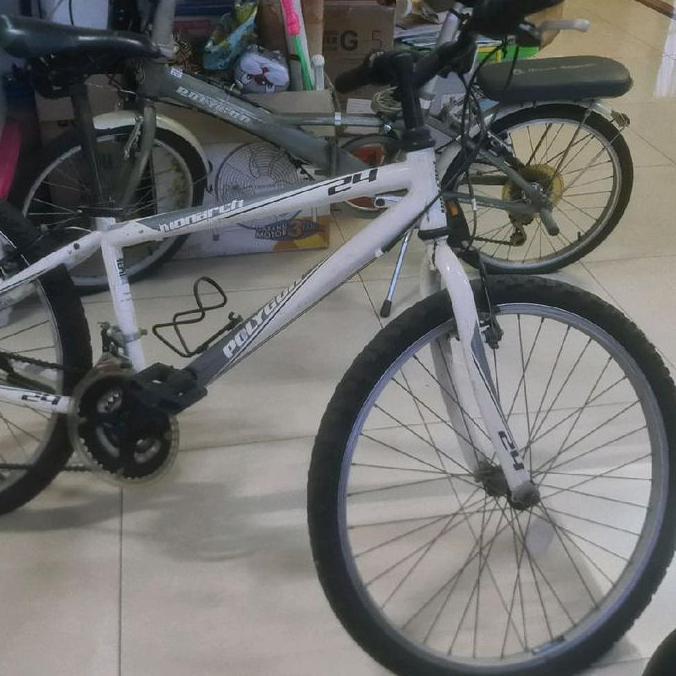 Terlaris Sepeda Polygon Monarch Mtb 24