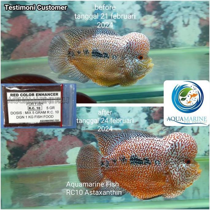 RC10 ASTAXANTHIN RC 10 ASTAXANTIN 5 gr Pewarna Pigmen Merah ikan Koi Koki Arowana Louhan Channa Parr