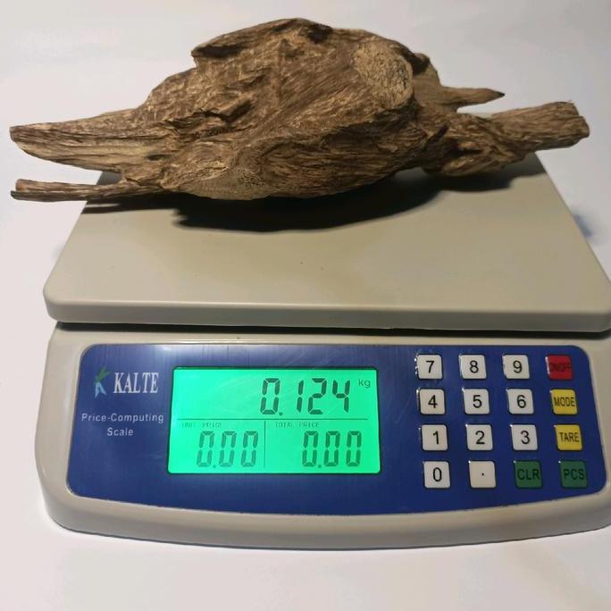 Gaharu Dekor Gaharu Untuk Pajangan Gaharu Super Aquilaria Malaccensis