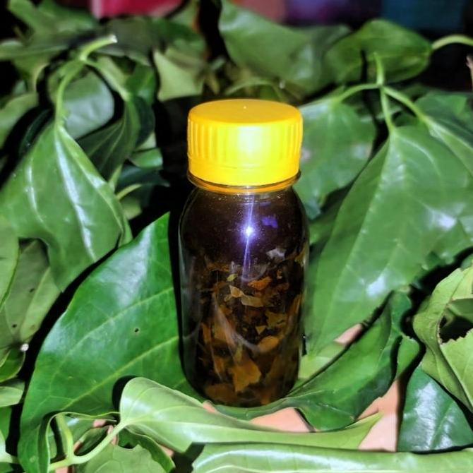minyak lint4h campur minyak daun bungkus ASLI-ROTAN keras besar pnjang