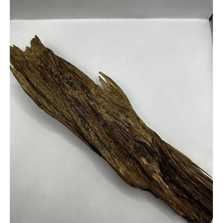 Decorasi Kayu Gaharu Triple Super King Original Malinau Kalimantan Oud