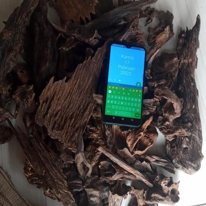 kayu gaharu tenggelam asli kalimantan wangi