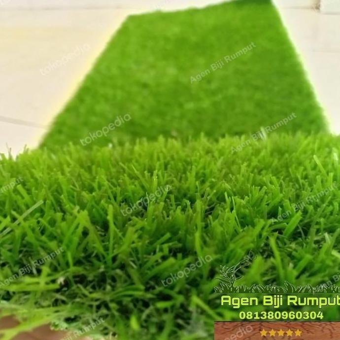 Rumput sintetis Swiss - Karpet sintesis Swiss 25x25cm