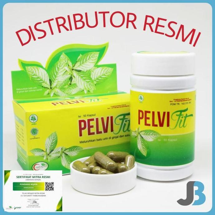 Pastisehat- Pelvifit Naturafit Herbal Obat Batu Empedu Gagal Ginjal Saluran Kemih