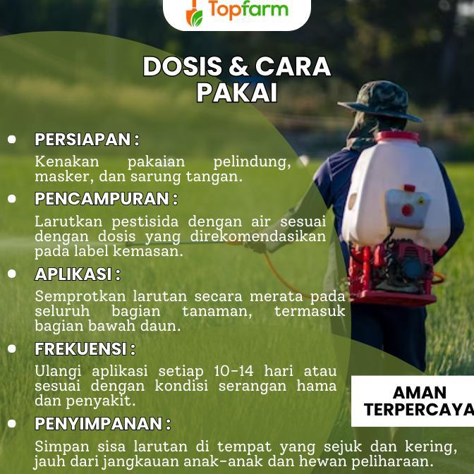 Bisa Cod Obat Pembasmi Burung Pada Padi / Obat Semprot Padi Hama Burung / Obat Padi Hama Burung Pipi