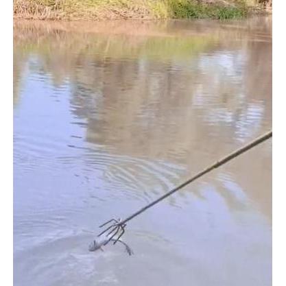 Harpoon Tombak Ikan 5 Prong Bahan Stainless Steel KEPALA TOMBAK CABANG