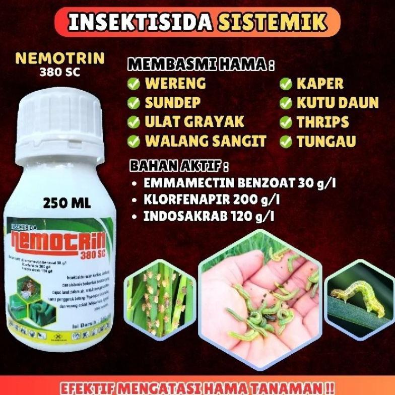 Bisa Cod Paling Ampuh Nemotrin Insektisida 380 Sc Obat Pembasmi Hama Gulma Rumput Liar Padi Racun Ul