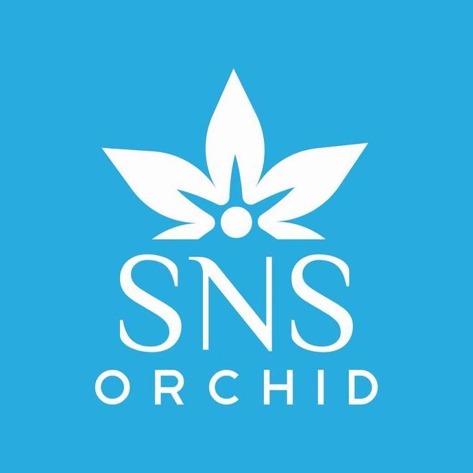 Seedling Anggrek Bulan Hybrid Taiwan Warna Koleksi Benih Bibit Pasti Ori