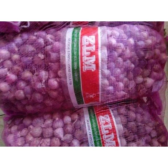 Foodtwin- Bawang Putih Tunggal/Bawang Lanang Tunggal Import Jumbo 1Kg