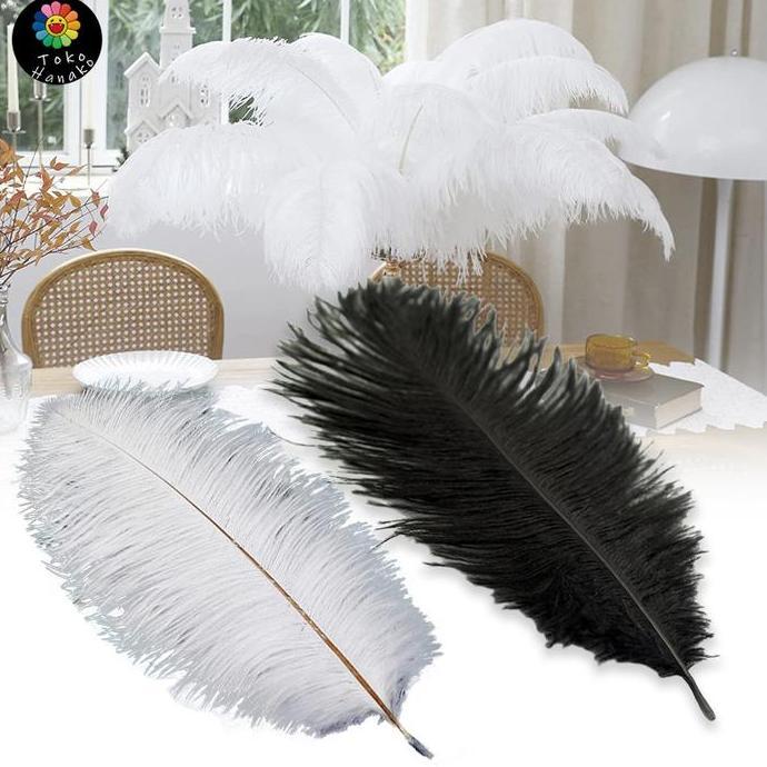XALARA Bulu Ostrich  35-45cm Ostrich Feather 100% bulu burung ostrich asli
