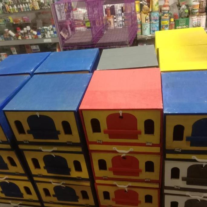 kandang burung merpati dara gufon BS