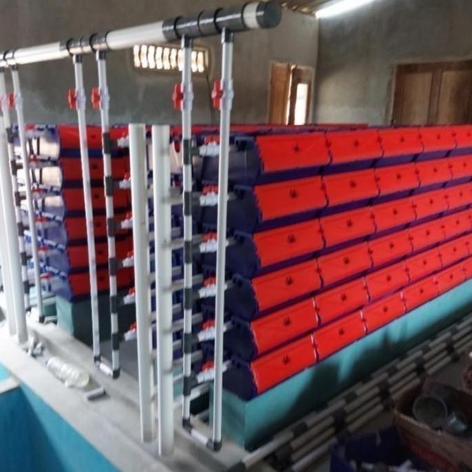 Apartemen kepiting box crab Harga Murah