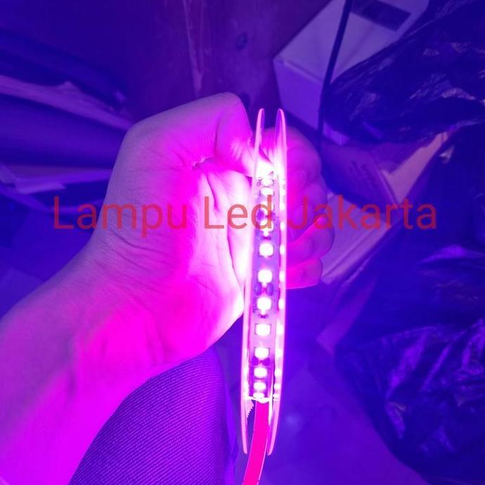 lampu Led strip 120 mata ungu dc 12v 5meter. led strip purple ungu 5m ready