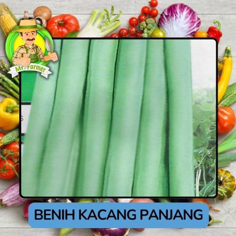 Benih Kacang Panjang Bibit Sayuran Unggulan