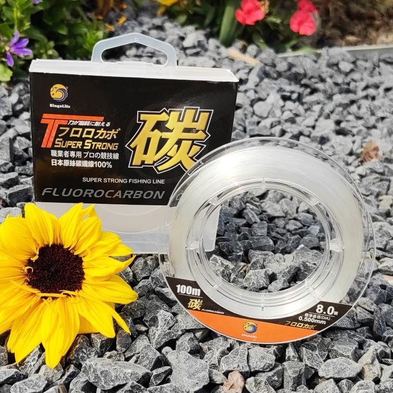 Senar Pancing Leader Warna Transparan 100m Fluorocarbon Kecil Kuat Anti Kriting Mudah Tenggelam Japa