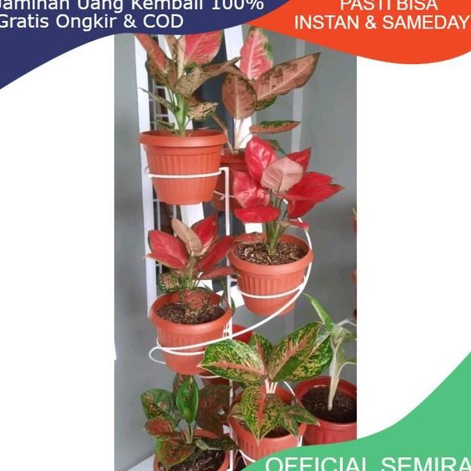 Grdx- 9 In 1 Standing Pot Melingkar Modern Minimalis / Standing Pot Bunga Besi Tiang / Rak Bunga Bes
