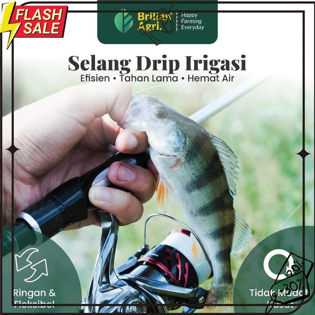 Brilian - Senar Cap Ikan Kakap Ukuran 2500 Per Roll /Tali Senar Pancing / Senar Layangan Termurah