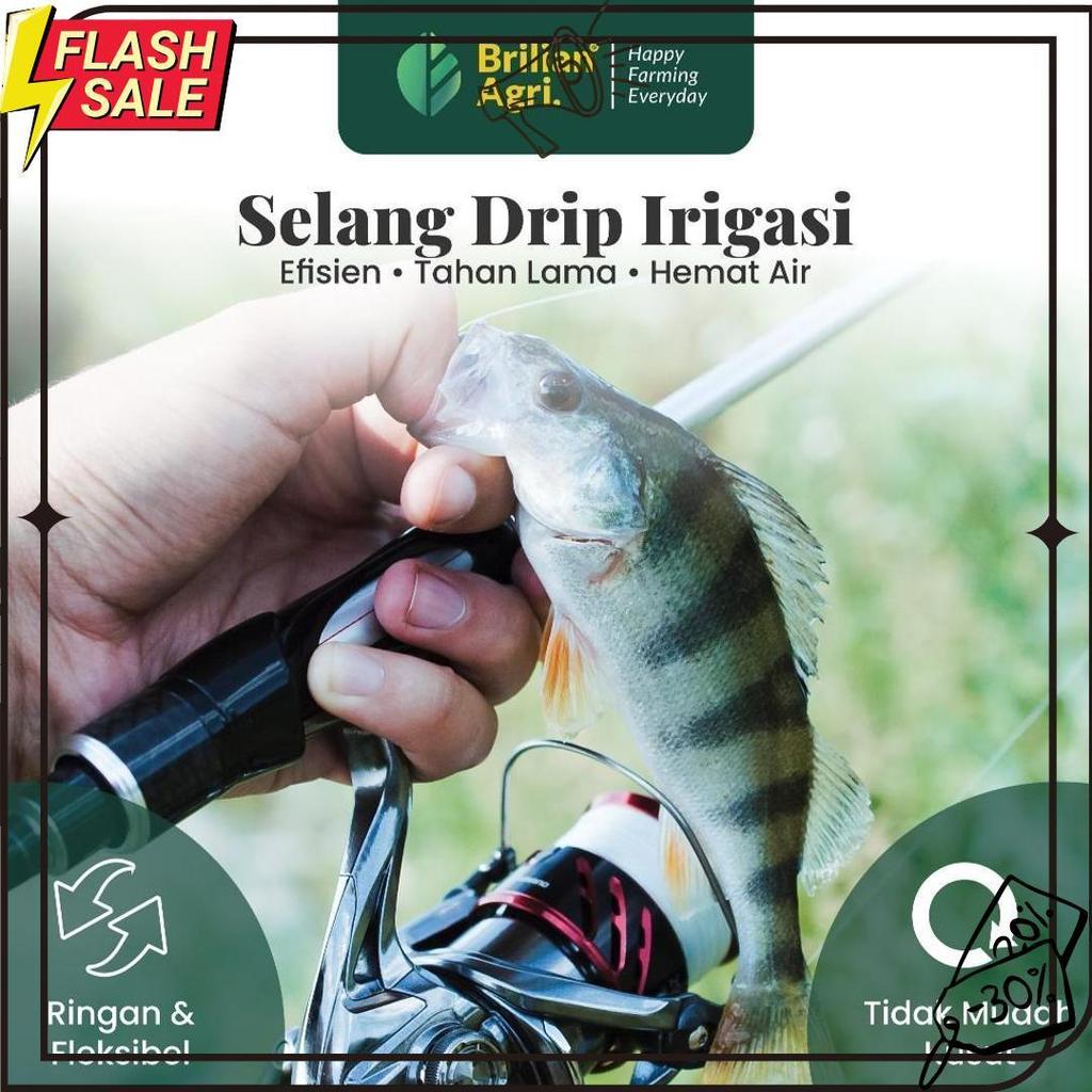 Brilian - Senar Cap Ikan Kakap Ukuran 3000 Per Roll /Tali Senar Pancing / Senar Layangan Meledak