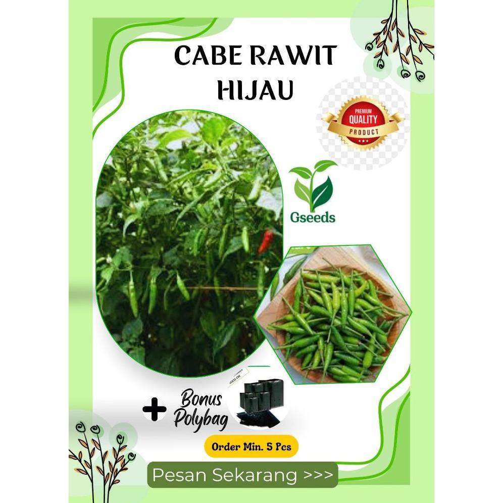 Bisa Cod 20 Benih Unggul Cabe Rawit Hijau Bibit Seed Benih Cabe Rawit Hijau Unggul Sayuran Cabai Ber