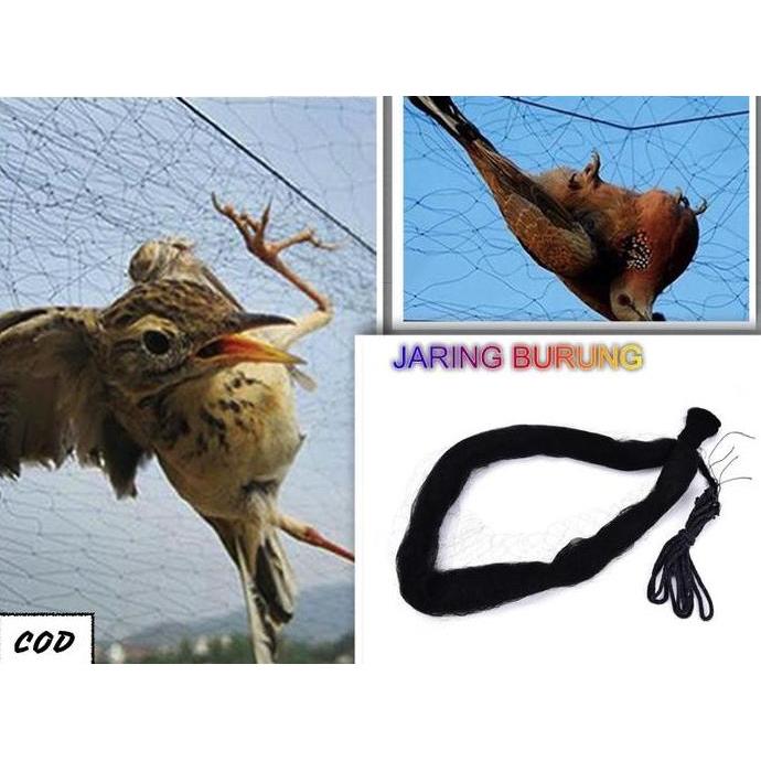 Bridwoi- Jala Burung Pukat Burung Jebakan