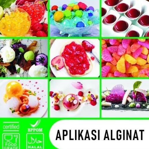 Alginat / Alginate / Sodium Alginate