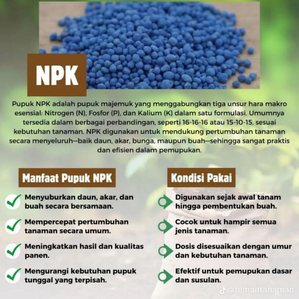 Bisa Cod Pupuk Npk 16 16 16 Repack 1Kg - Pupuk Penyubur Tanaman ><