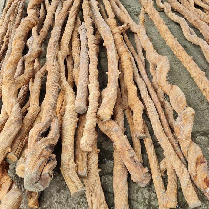 Akar kayu liana panjang 3 meter WAR