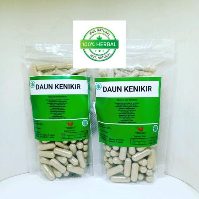 Tersedia herbal daun kenikir isi 100 kapsul
