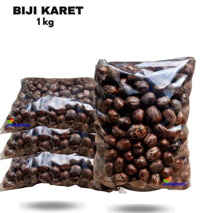 BIJI KARET KILOAN KUALITAS TERBAIK