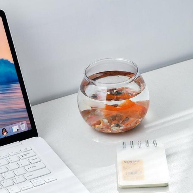 Kope_Klotok - Aquarium Bulat Fish Bowl Dengan Basis Estetik Kaca Ikan Hias Aquarium Bulat Aquarium T