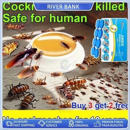 Umpan Tempel Pembasmi Kecoa Pembunuh Racun Kecoa Bulat/Obat Racun Ampuh Pembasmi Kecoa 1 Pcs Gel/8Pc