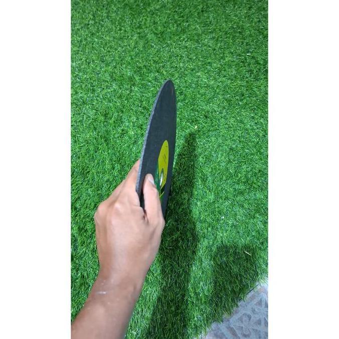 Mata Gerinda Potong Batu Asah Pemotong Tulang Sum Sum Kambing Sapi Cutting Wheel