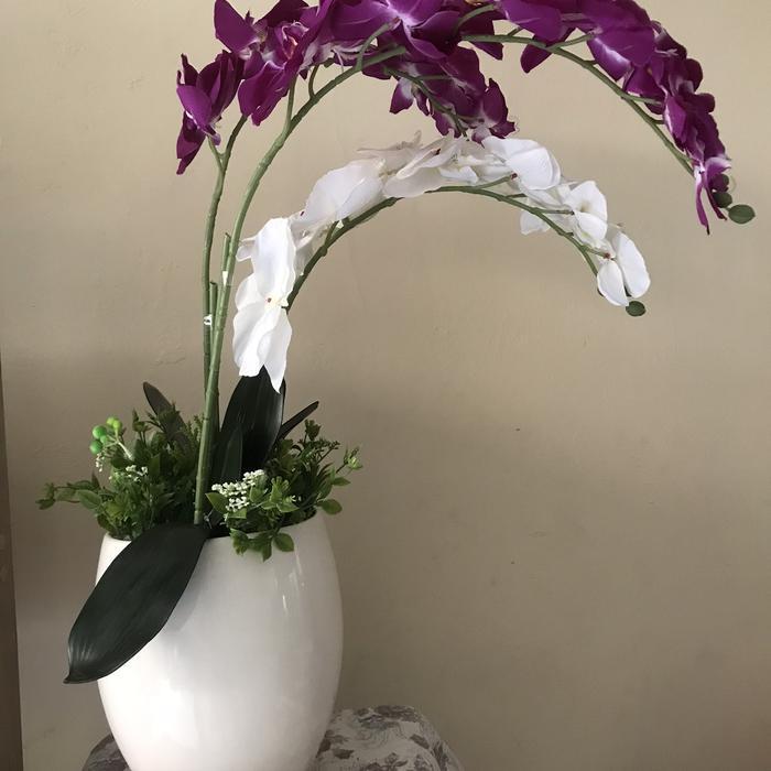 Rangkaian Bunga Anggrek Plastik Bunga Meja Anggrek Bunga Pot Anggrek Latex Pot Bunga Anggrek Bunga U