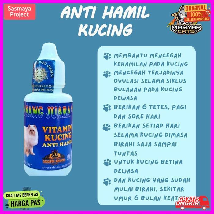 Exclusive Obat Anti Hamil Kucing Mencegah Kehamilan Kucing Dan Proses Ovulasi Pada Kucing Obat Kb Ku