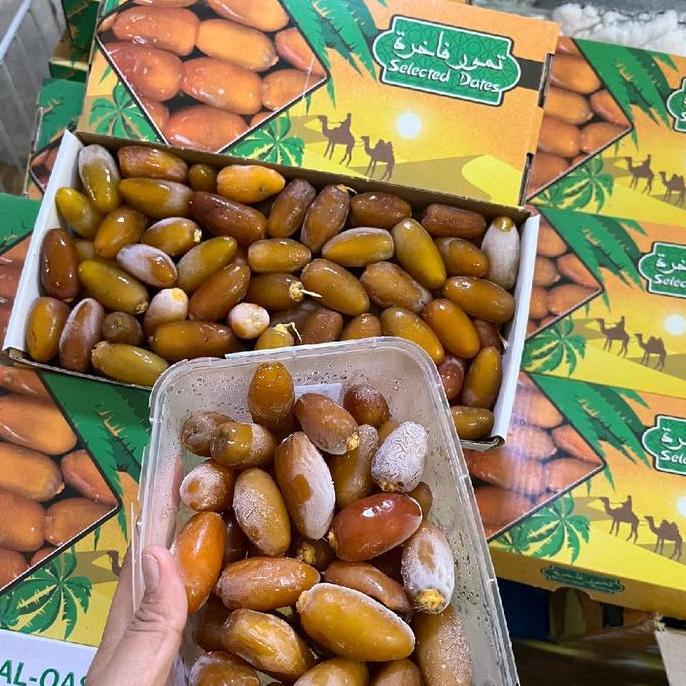 Kurma Muda Ruthob Libya Fresh Lembut Kaya Nutrisi Tahan 6 Bulan di Freezer Manfaat untuk Kesehatan T