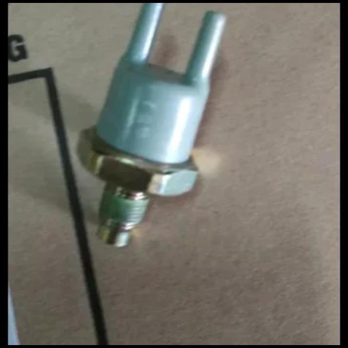 TERLARIS SENSOR MANIPOL INTAKE FEROZA TARUNA ORI 