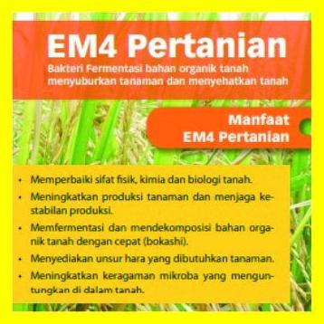 EM4 1 LITER UNTUK TANAMAN PERTANIAN bakteri u produksi kompos