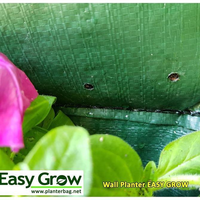 Wall Planter Easy Grow 12 Kantong (3 x 4 Kantong Horizontal)