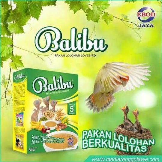Dbutsu- Balibu Bubur Lolohan Burung Piyik Pakan Burung Piyik Balibu Ebod Jaya