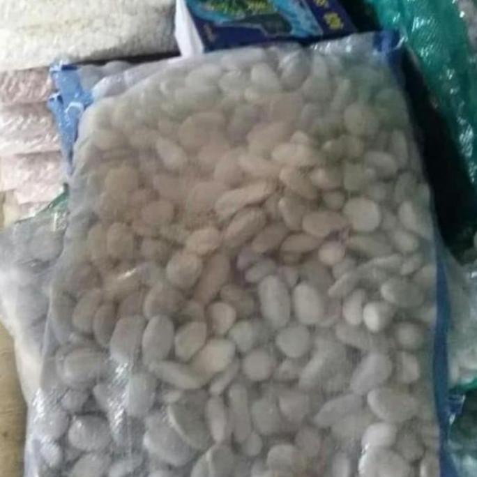 Batu Korall Putih / Batu Hiasan Taman