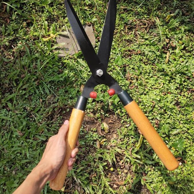gunting pagar - gunting rumput pagar tanaman bonsai - gunting pohon pagar besar jumbo