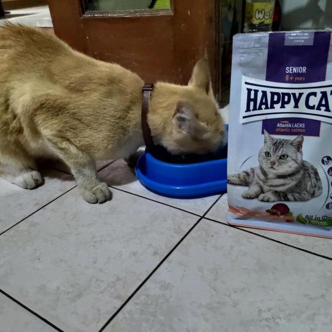 Happy cat dry food senior 4kg